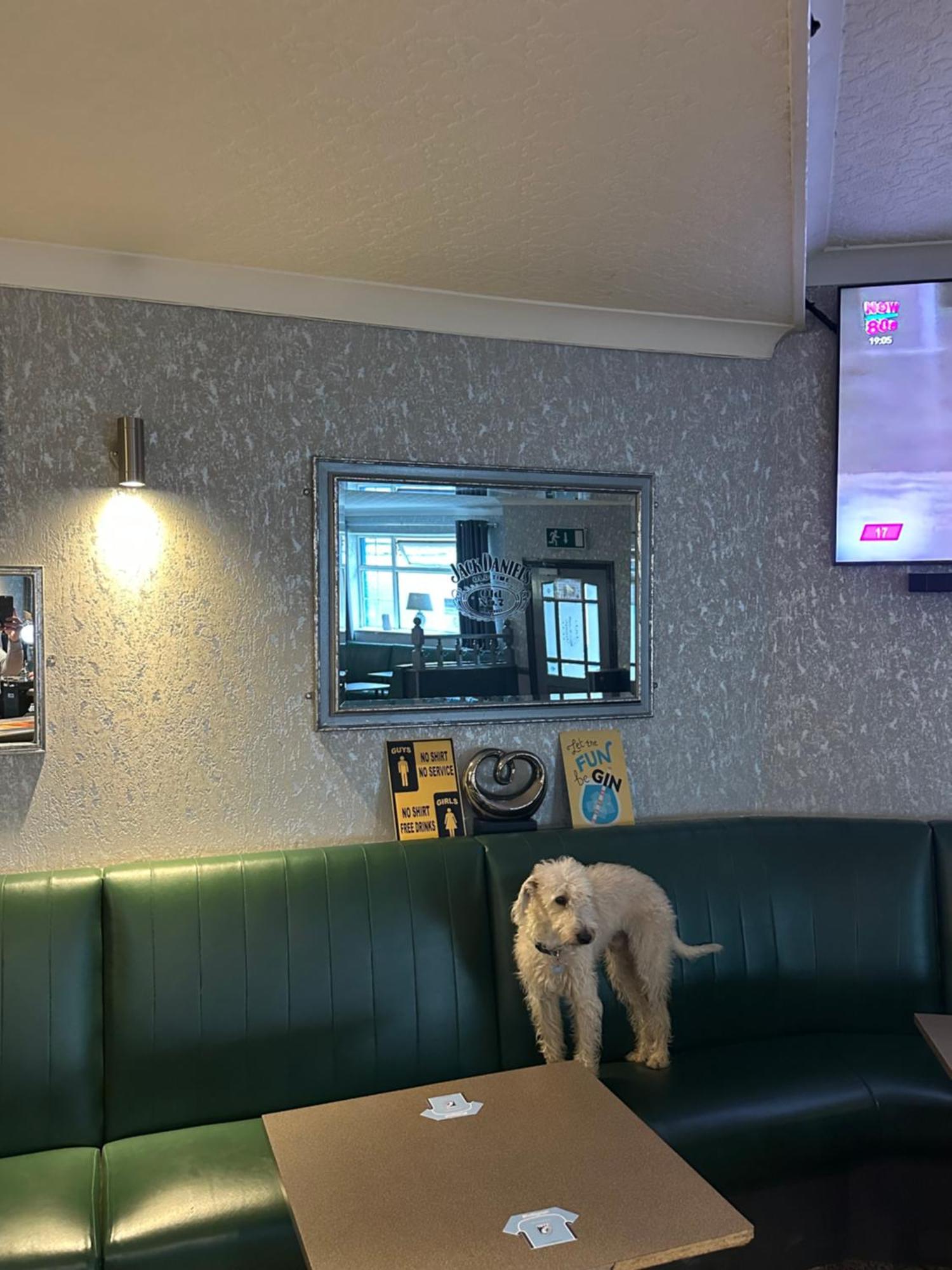 The Angel Inn Troed-y-rhiw Ngoại thất bức ảnh